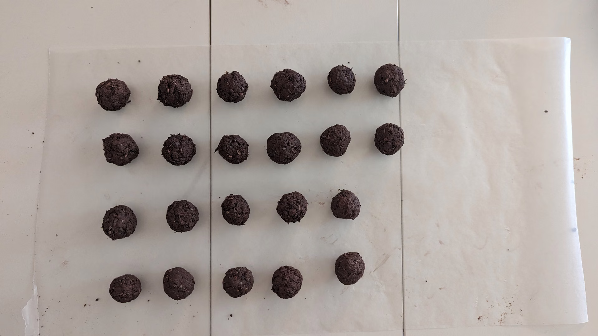 Twenty-four finished seed bombs in rows on paper